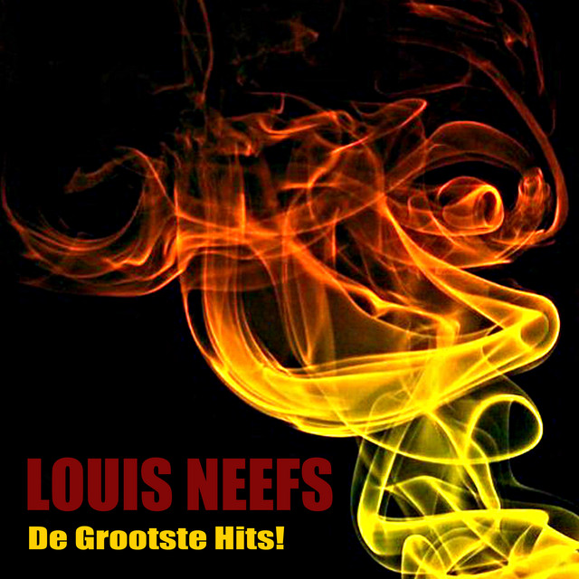 De Grootste Hits! album cover