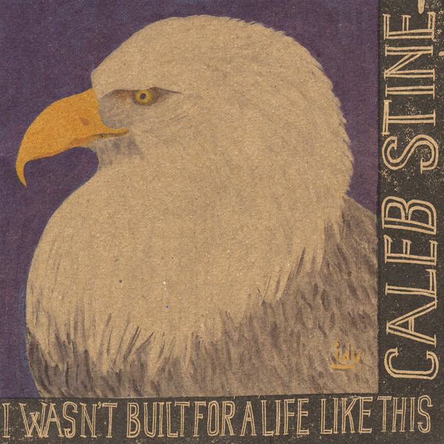 I Wasn't Built For A Life Like This album cover