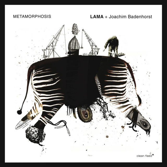 Metamorphosis album cover