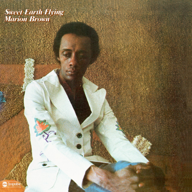 Sweet Earth Flying album cover