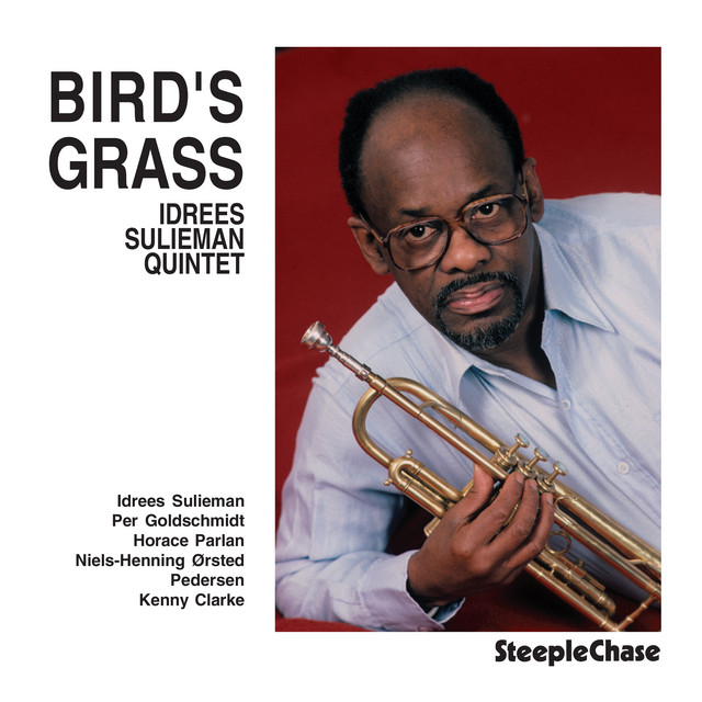 Bird's Grass album cover