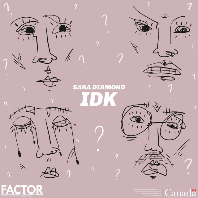 IDK album cover