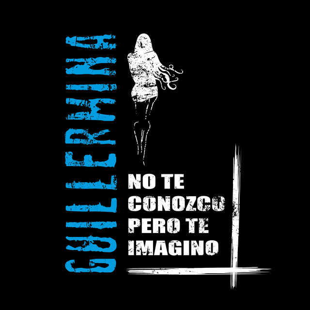 No Te Conozco Pero Te Imagino (Versión 2023) album cover