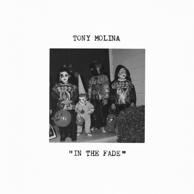 In the Fade album cover