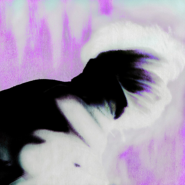 Ultra Dante Technicolor album cover