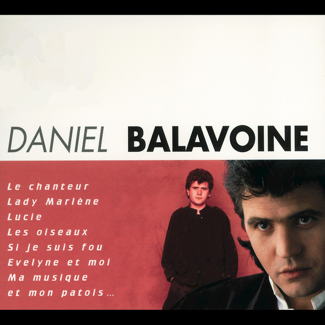 Le Chanteur album cover