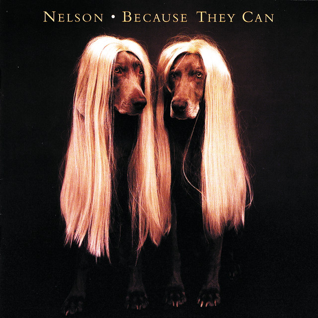 Because They Can album cover