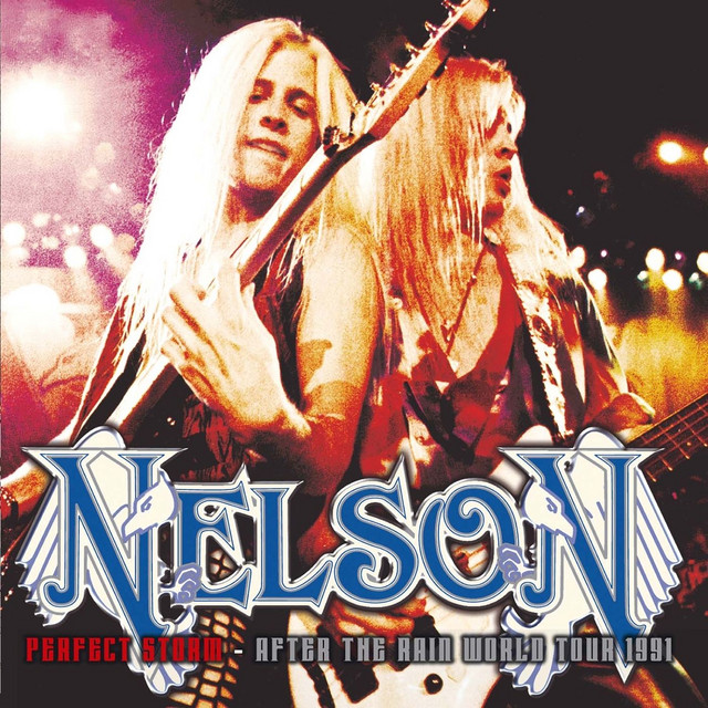 Perfect Storm (After The Rain World Tour 1991) album cover