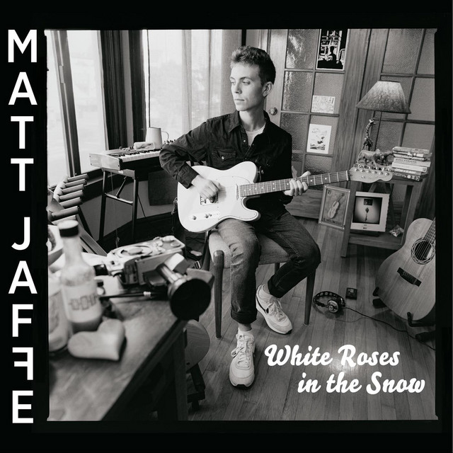 White Roses in the Snow album cover