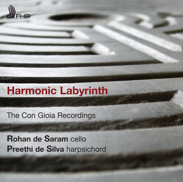 Harmonic Labyrinth album cover