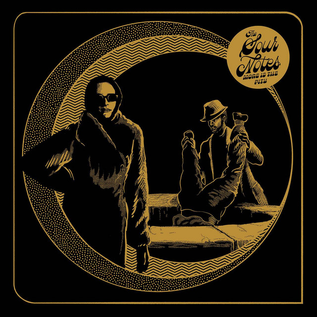 More Is The Pity album cover