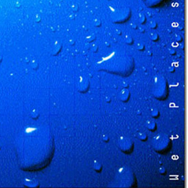 Wet Places album cover