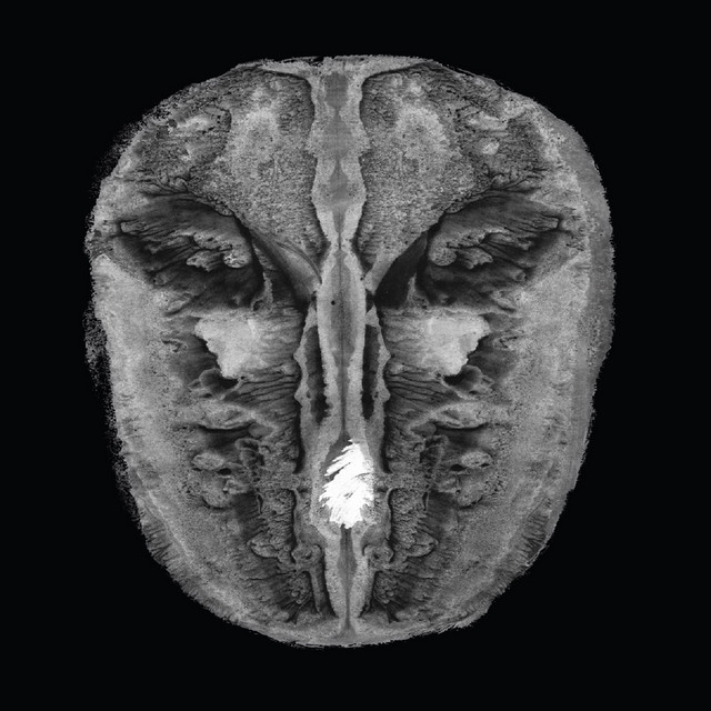 Die Gesänge des Maldoror album cover