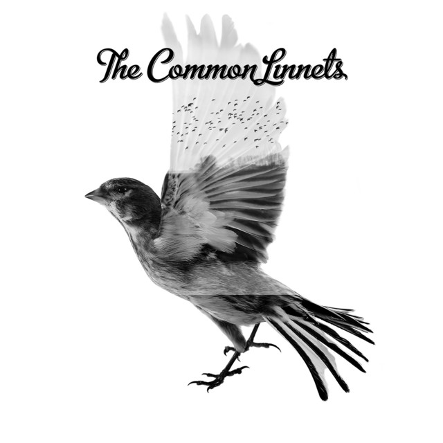 The Common Linnets album cover