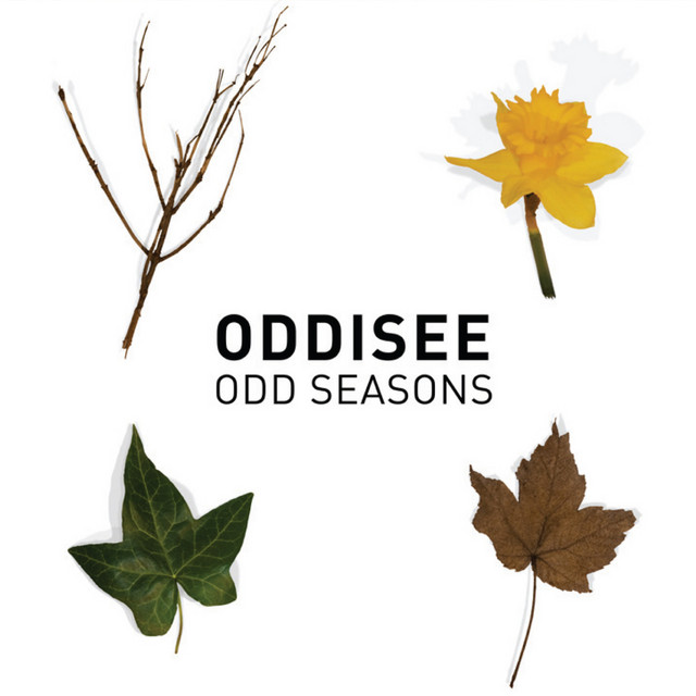Odd Seasons album cover