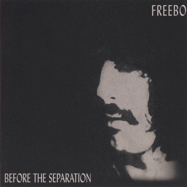 Before The Separation album cover