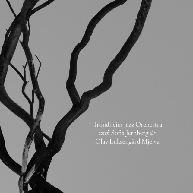 Trondheim Jazz Orchestra with Sofia Jernberg & Olav Luksengård Mjelva album cover
