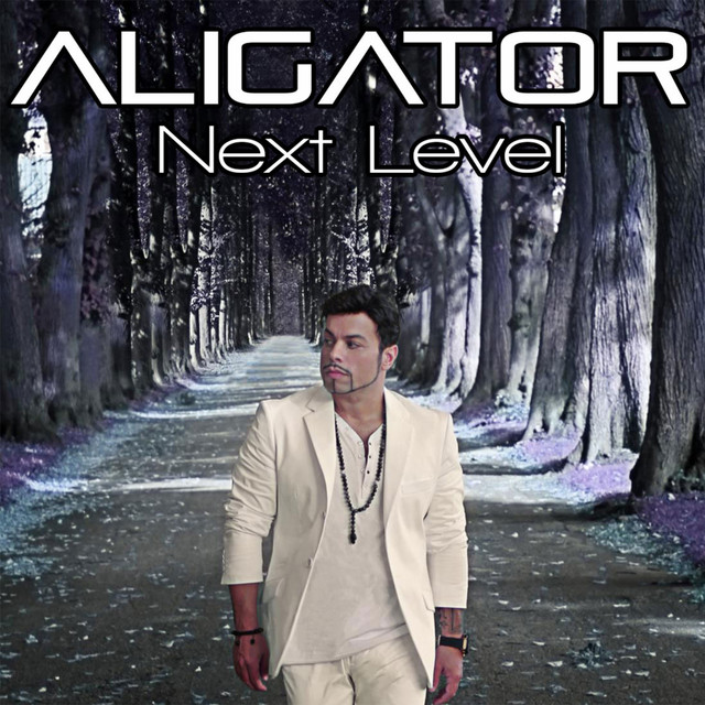 Next Level album cover