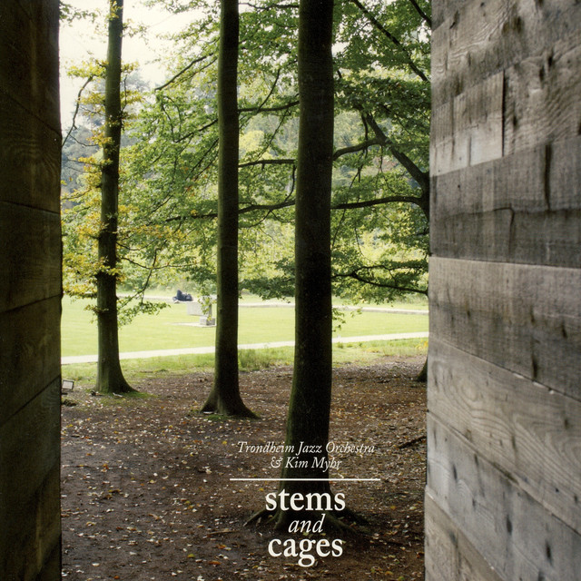 Stems and Cages album cover