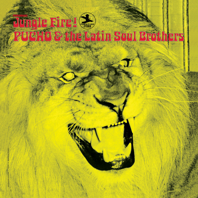 Jungle Fire! album cover