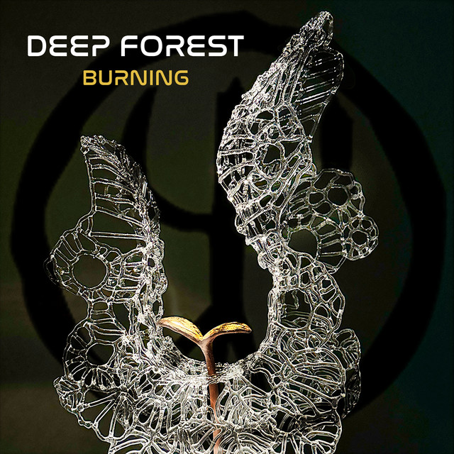 Burning album cover