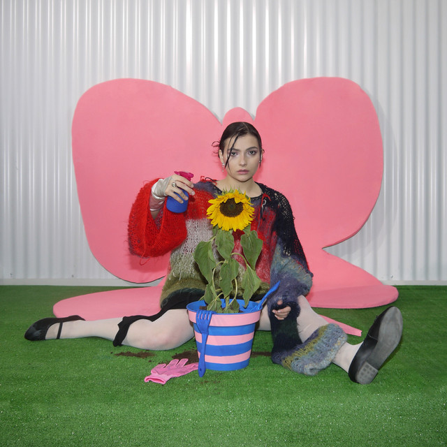 Butterfly in the Stomach album cover