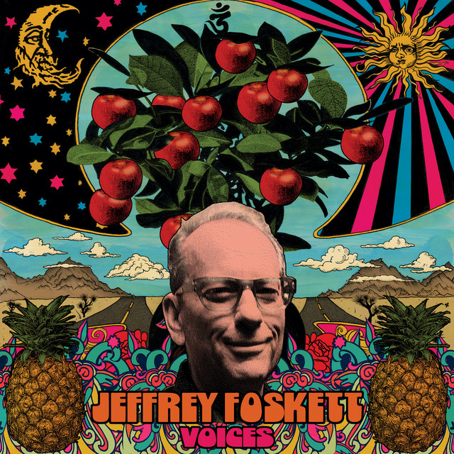 Voices album cover