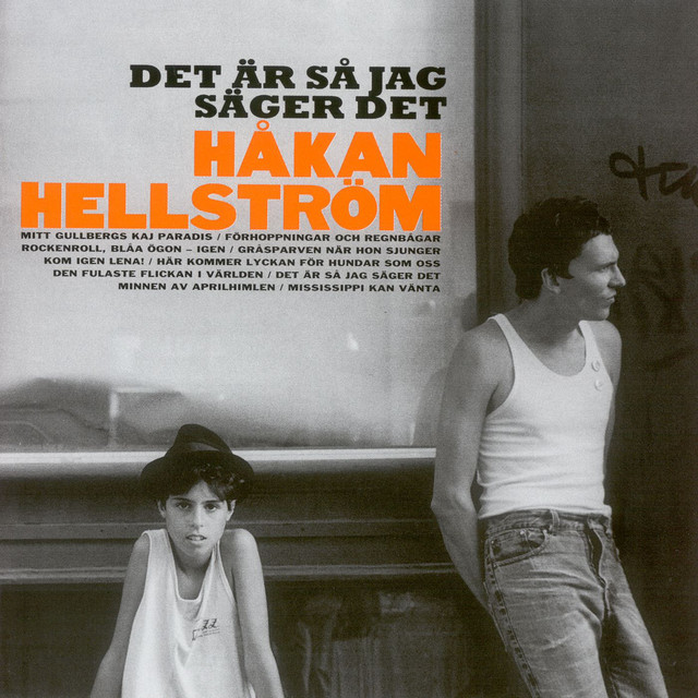 Det är så jag säger det album cover