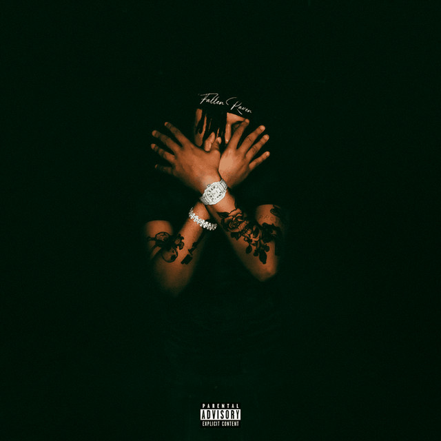 FALLEN RAVEN album cover