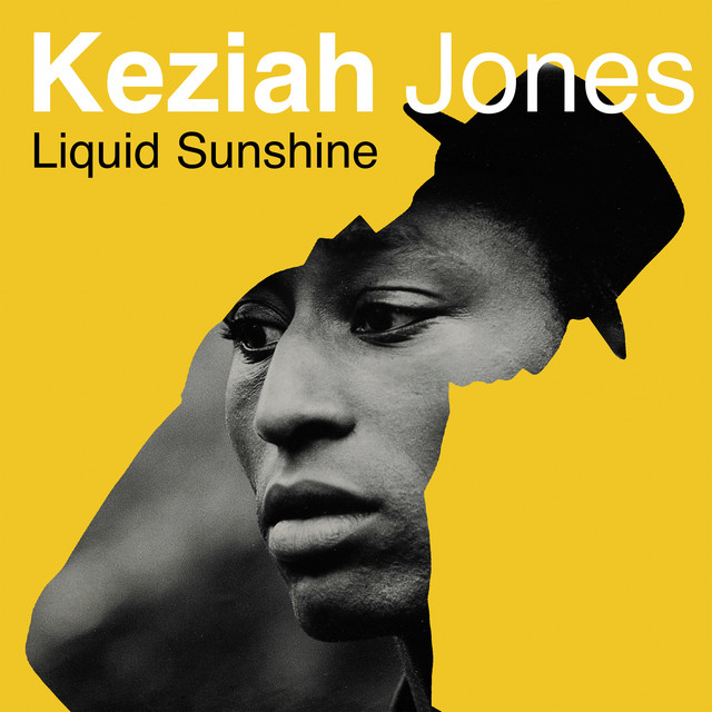 Liquid Sunshine album cover
