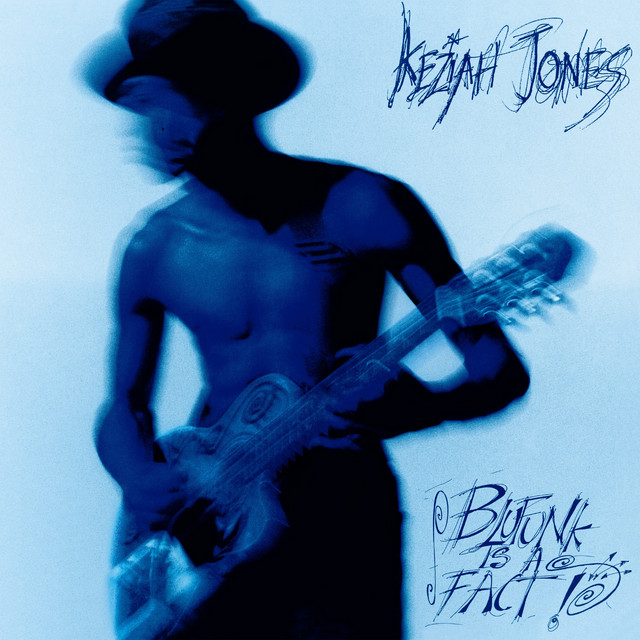 Blufunk is a fact album cover