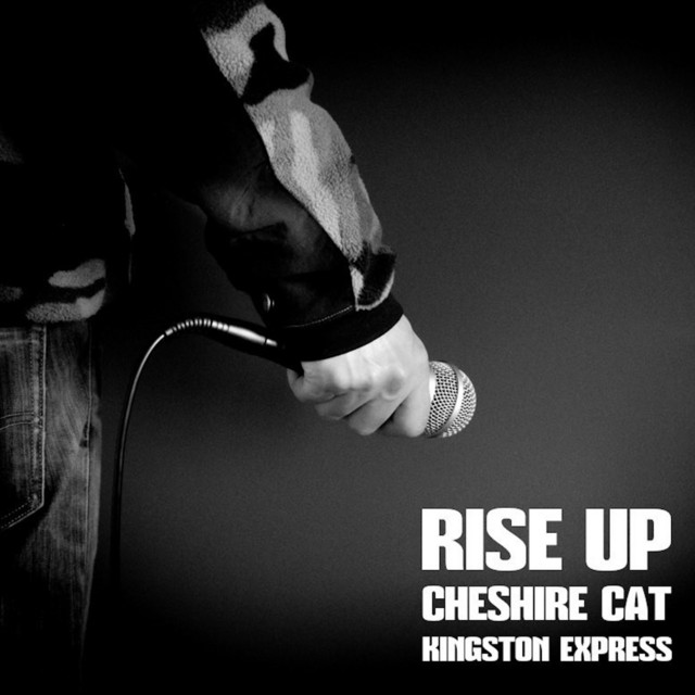 Rise Up album cover