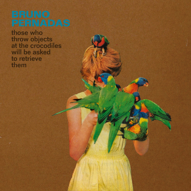 Those Who Throw Objects at the Crocodiles Will Be Asked to Retrieve Them album cover