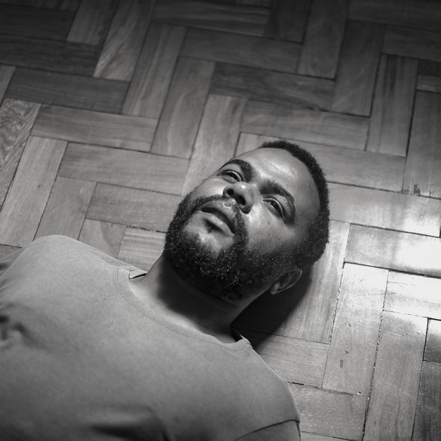 Intermitências album cover