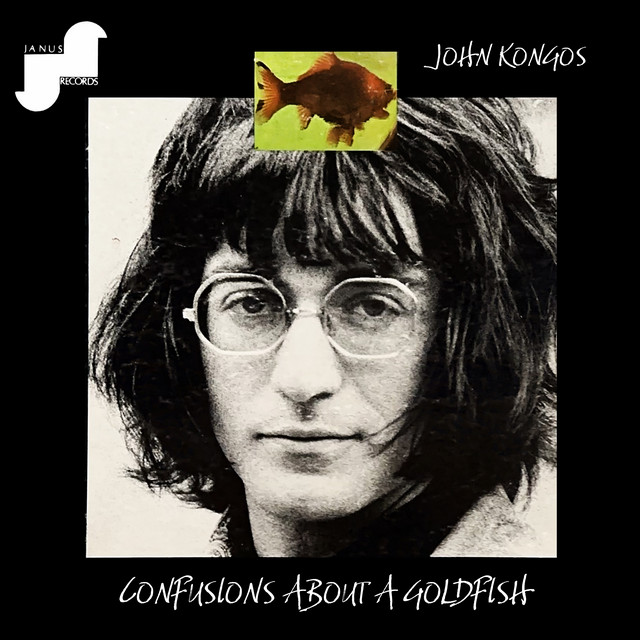 Confusions About A Goldfish album cover
