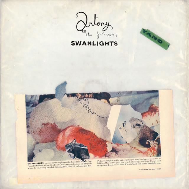 Swanlights album cover