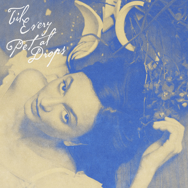 Til Every Petal Drops album cover