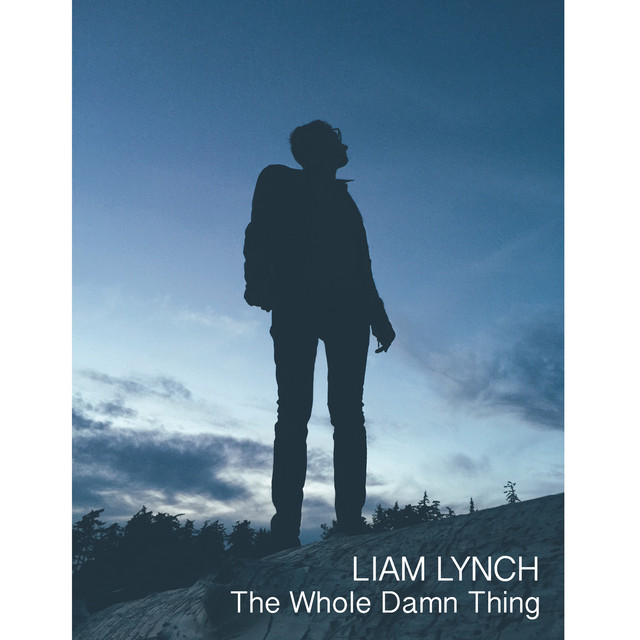 The Whole Damn Thing album cover