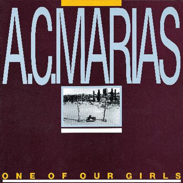 One Of Our Girls (Has Gone Missing) album cover