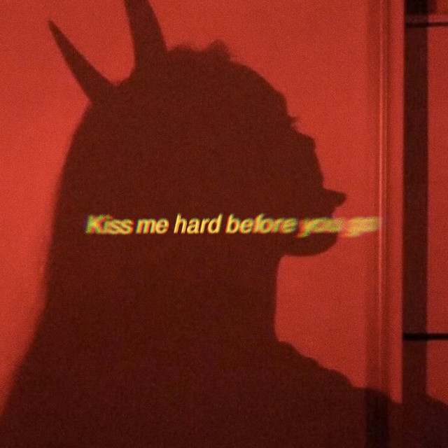 kiss me hard before you go album cover