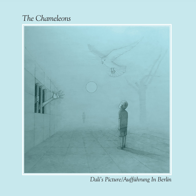 Dali's Picture / Auffuhrung in Berlin (Live) album cover