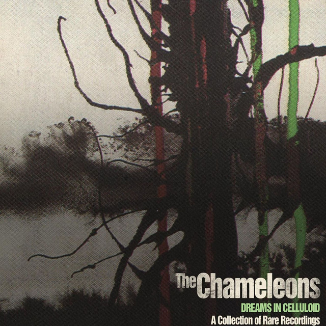 Dreams in Celluloid: A Collection of Rare Recordings album cover