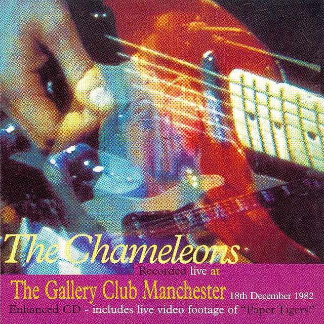 Live At The Gallery Club, Manchester, 1982 album cover