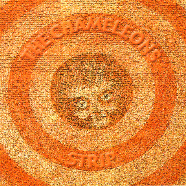 Strip album cover