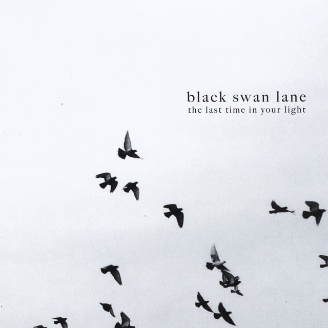The Last Time in Your Light album cover