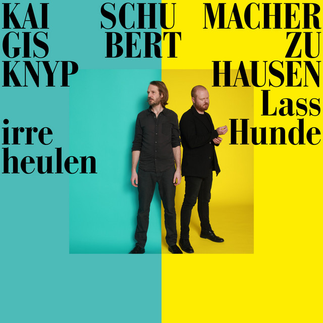 Lass irre Hunde heulen album cover