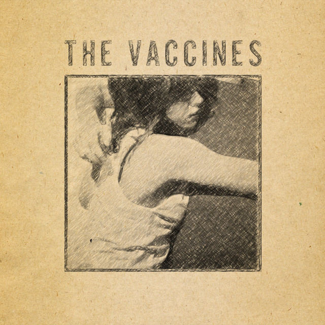 What Did You Expect From The Vaccines? (Demos) album cover