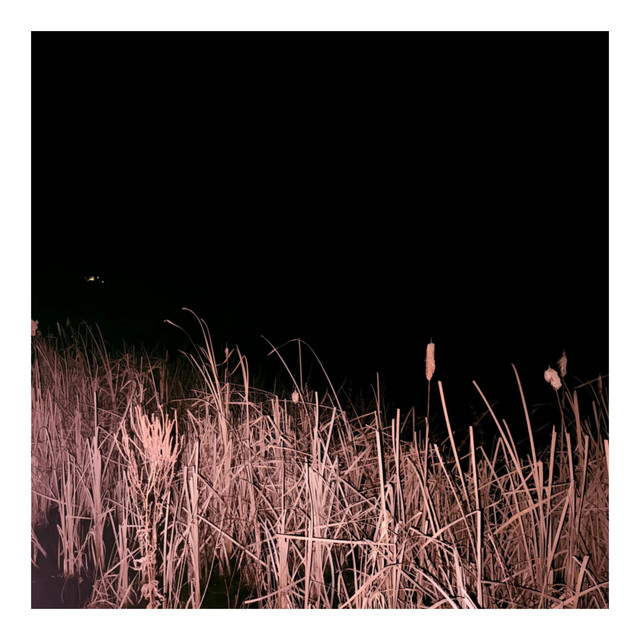 november. album cover