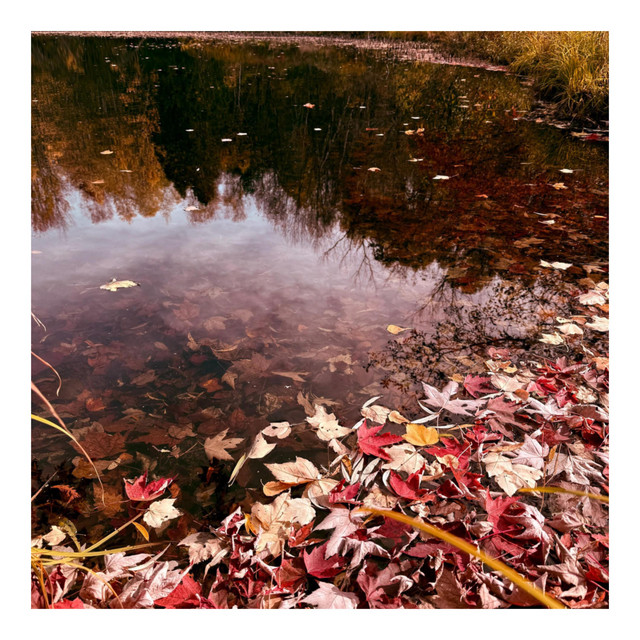 october. album cover