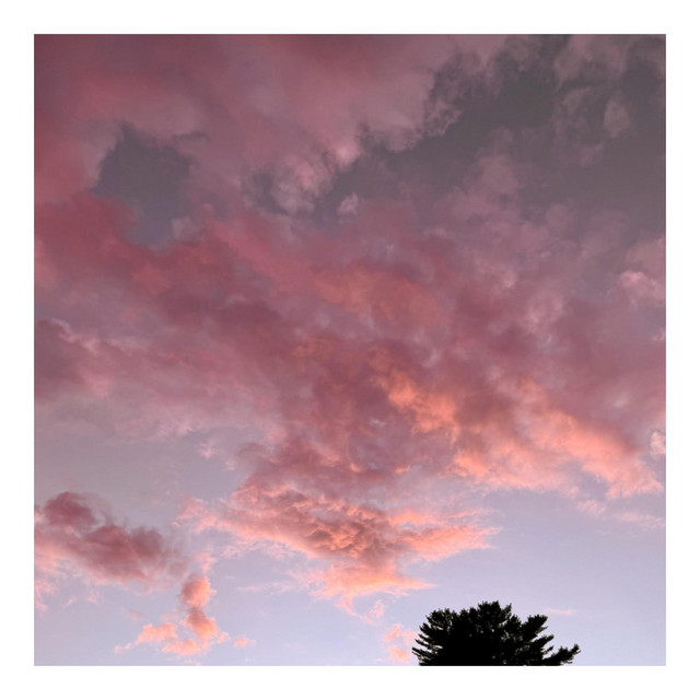 august. album cover